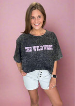 Load image into Gallery viewer, desert scenes | 2 fly