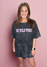 Load image into Gallery viewer, desert scenes | 2 fly