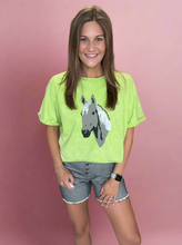 Load image into Gallery viewer, wild horses | 2 fly
