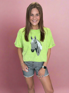 wild horses | 2 fly