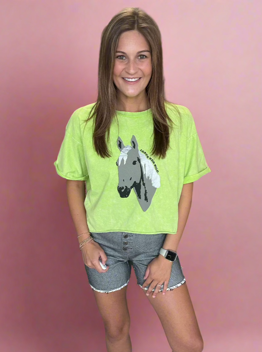wild horses | 2 fly
