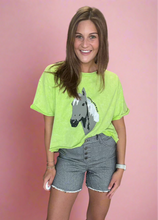 Load image into Gallery viewer, wild horses | 2 fly
