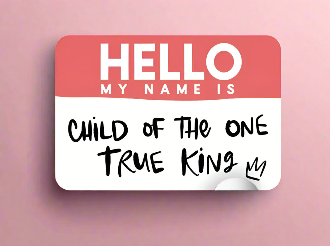 hello my name is sticker | kingfolk