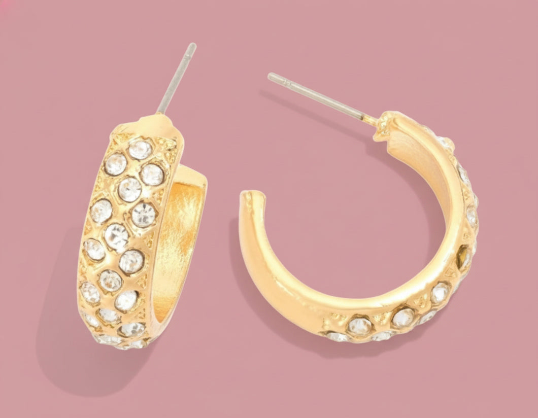 chunky pave hoops