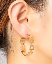 Load image into Gallery viewer, linked hoops
