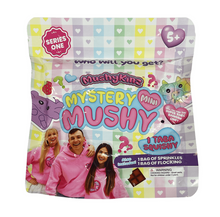 Load image into Gallery viewer, mushykinz mystery mini 1 pack
