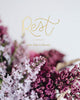 rest, from eden to eternity | the daily grace co